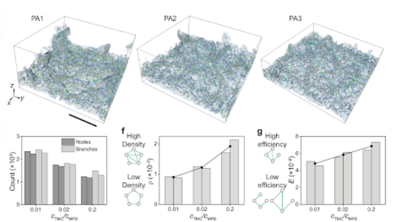 voids in polymer films