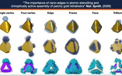 Tiny Nano-Edges Unlock Big Advances in Programmable Nanomaterials